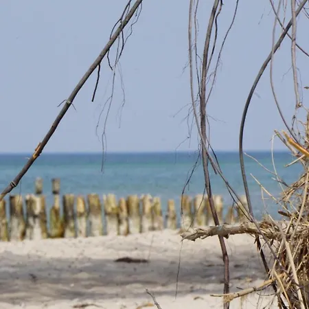Friederike 3 Ostseebad Nienhagen