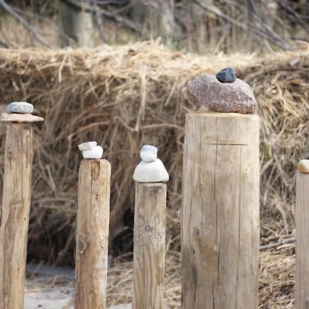 Friederike 3 * Nienhagen