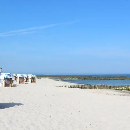 Friederike 3 Apartment